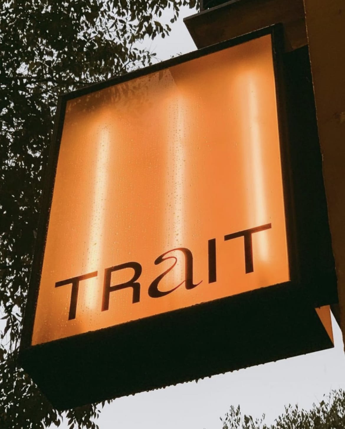 trait-store